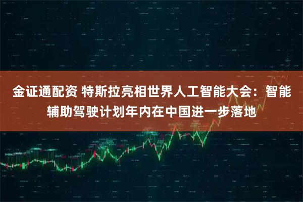 金证通配资 特斯拉亮相世界人工智能大会：智能辅助驾驶计划年内在中国进一步落地