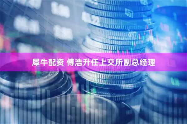 犀牛配资 傅浩升任上交所副总经理