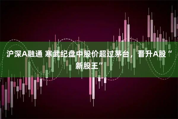 沪深A融通 寒武纪盘中股价超过茅台，晋升A股“新股王”