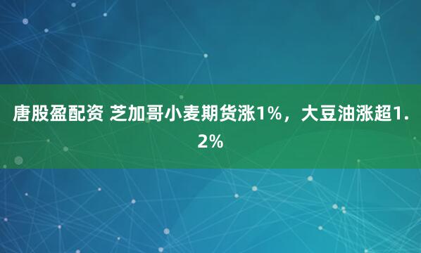 唐股盈配资 芝加哥小麦期货涨1%，大豆油涨超1.2%
